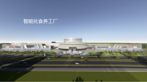 南方黑芝麻糊——保健黑芝麻糊麻将胡了游戏你没喝过的升级版