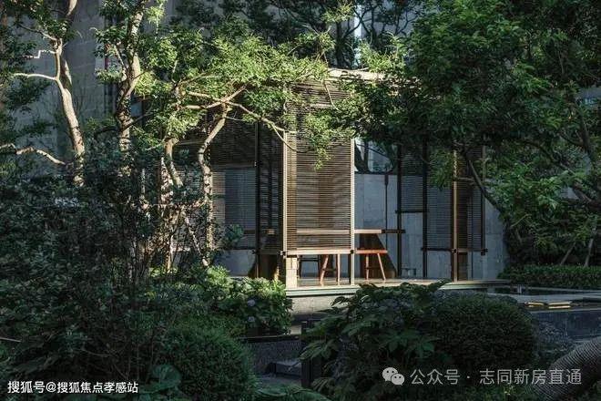 5最新房价+户型图+小区环境+配套麻将胡了上海(海上瑧悦)-202(图3) 5最新房价+户型图+小区环境+配套麻将胡了上海(海上瑧悦)-202(图3)