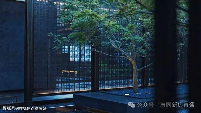 5最新房价+户型图+小区环境+配套麻将胡了上海(海上瑧悦)-202(图9) 5最新房价+户型图+小区环境+配套麻将胡了上海(海上瑧悦)-202(图9)