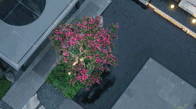 5最新房价+户型图+小区环境+配套麻将胡了上海(海上瑧悦)-202(图19) 5最新房价+户型图+小区环境+配套麻将胡了上海(海上瑧悦)-202(图19)