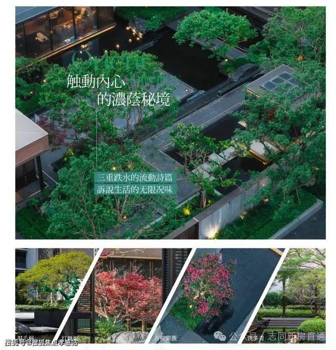 5最新房价+户型图+小区环境+配套麻将胡了上海(海上瑧悦)-202(图34) 5最新房价+户型图+小区环境+配套麻将胡了上海(海上瑧悦)-202(图34)