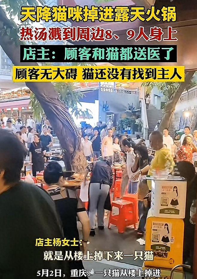 场面！9人被烫店主操作直接封神！麻将胡了重庆火锅店上演飞猫扑锅名(图3)